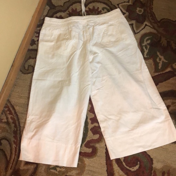 ANN TAYLOR LOFT Size 14 Marisa Wide Leg Crop Linen Cotton Summer Cozy $109 NEW - Picture 2 of 16